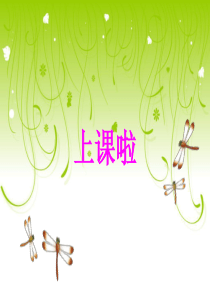 42红蜻蜓课件