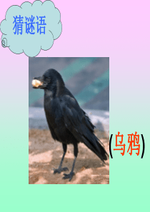 人教版 一年级下 语文课件 乌鸦喝水 上课用