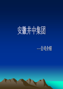 安徽井中集团发展历程介绍