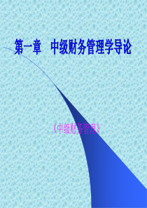 中级财务管理讲义