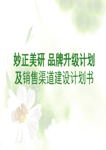 妙正品牌提升与渠道建立计划书
