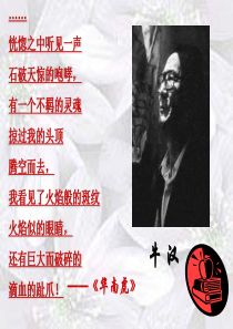 我的第一本书_课件