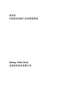 电信业分析型客户关系管理系统白皮书