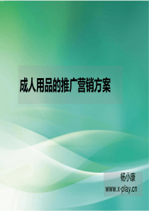 成人用品的营销策划方案