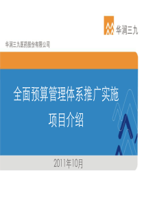 华润全面预算管理体系推广实施项目介绍