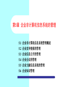 (精简)第5章 企业非计算机信息系统的管理