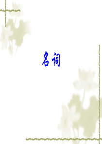 2010高考英语《语法》课件25《名词》