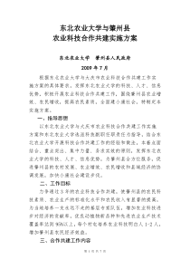合作共建实施方案