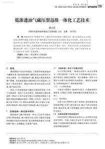 低渗透油气藏压裂返排体化工艺技术