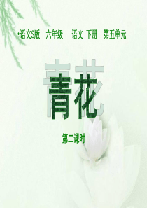 《青花》第二课时课件(语文S版六年级下册课件)