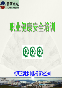2012.11职业健康安全教育培训(李军)