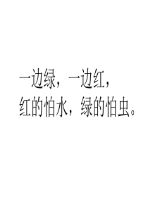 秋天到 优质课件
