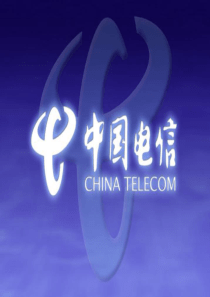 大客户经理技能认证四级基础知识-3