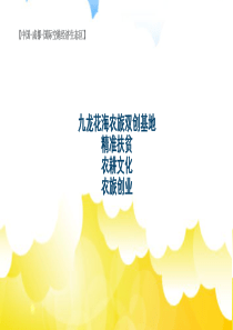 旅游项目策划方案九龙花海农旅双创基地(2)