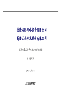 德隆天山水泥发展战略建议