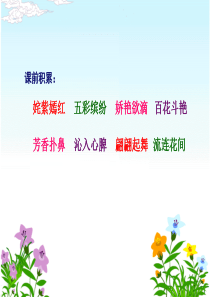 15《一路花香》ppt课件1