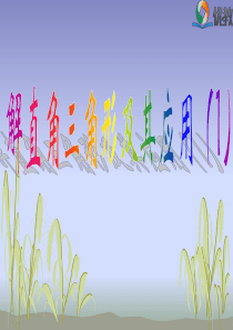 《解直角三角形及其应用(第1课时)》教学课件