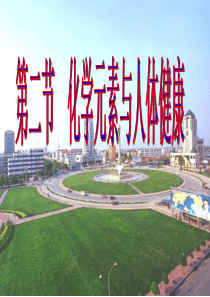 九年级化学化学元素与人体健康4