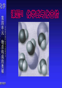 九年级化学化学式与化合价2