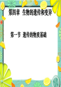 八年级生物上：4.1遗传的物质基础课件济南版