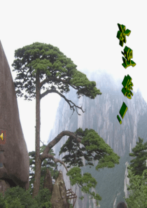 八年级物理下册第七章第二节弹力课件(修改)[1]