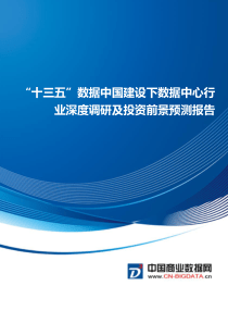 “十三五”数据中国建设下数据中心行业投资与发展分析报告