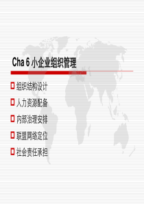 Cha6小企业的组织管理