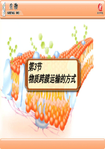 生物①必修43《物质跨膜运输的方式》PPT课件