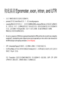 彻底搞清楚promoter,-exon,-intron,-and-UTR-(有图有真相)