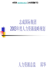 2003年度人力资源战略规划