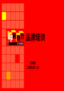 某著名通信公司品牌推广方案ppt