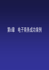 第6章++电子商务成功案例
