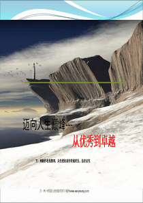 从优秀到卓越台湾精英庄秀凤分享演讲47页