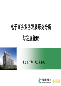 电子商务业务发展形势分析与工作指导意见