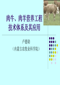 肉羊营养工程