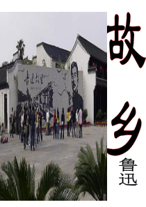 14故乡主课件