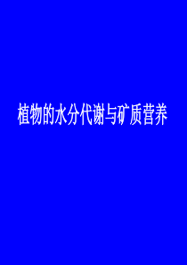 高三植物水分代谢与矿质营养