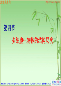 第一单元第二章第四节 多细胞生物体的结构层次课件(济南版七年级上)