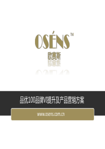 欧赛斯品优100VI提升及产品营销提案