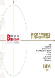 欧赛斯智谷良品主食健康品牌解读定位