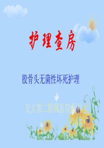 81股骨头无菌性坏死护理查房