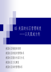04美国的社区管理制度