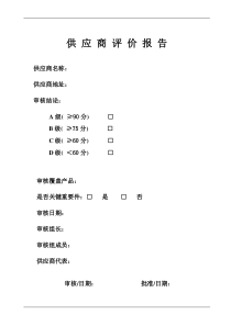 供应商评价报告