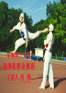 跆拳道理论课幻灯
