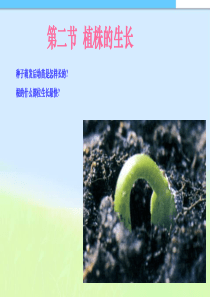 七年级生物_第三单元第二章第二节_植株的生长2_课件人教版精品课件精品中学ppt课件