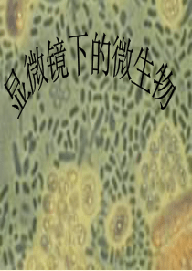 七年级科学显微镜下的各种生物1