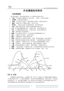 内衣基础知识培训1