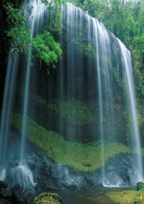 琵琶行公开课优质课件课件