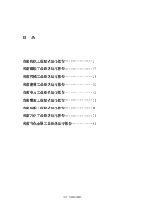 _九大行业产业形势分析报告（DOC 92页）