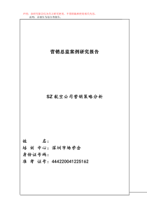 SZ航空公司营销策略分析